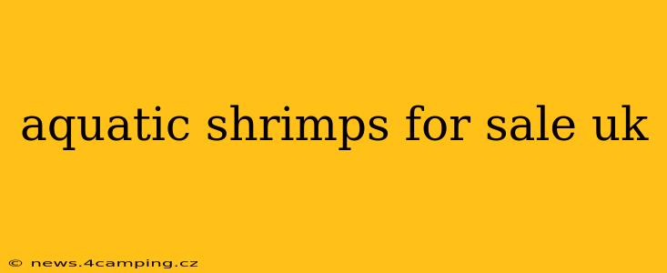 aquatic shrimps for sale uk