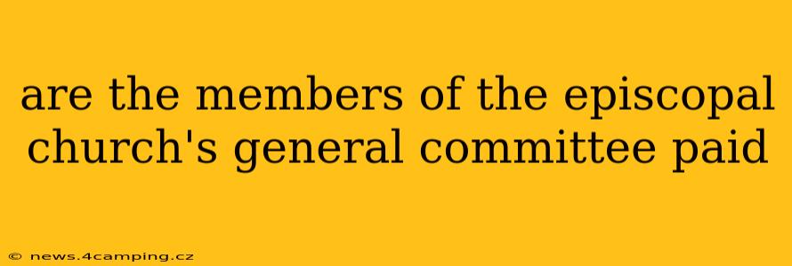 are the members of the episcopal church's general committee paid