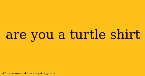 are you a turtle shirt