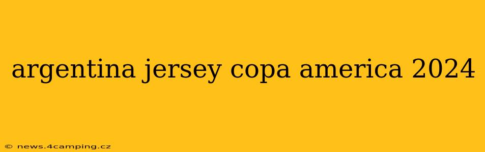 argentina jersey copa america 2024