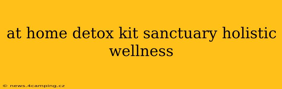 at home detox kit sanctuary holistic wellness