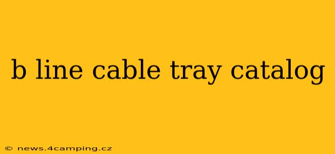 b line cable tray catalog