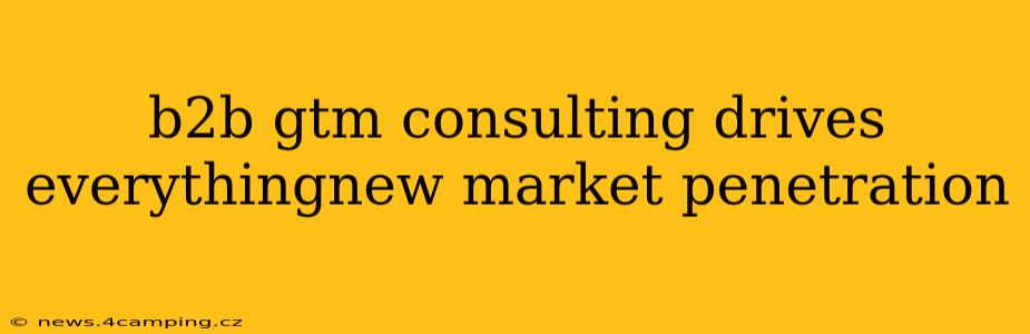 b2b gtm consulting drives everythingnew market penetration