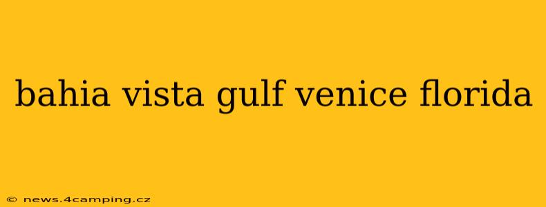 bahia vista gulf venice florida