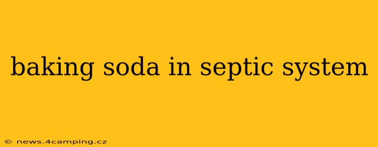 baking soda in septic system