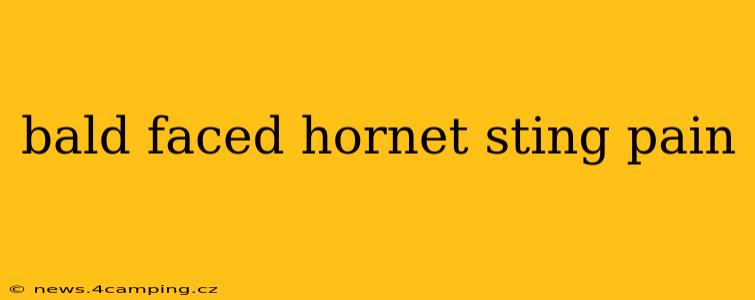 bald faced hornet sting pain
