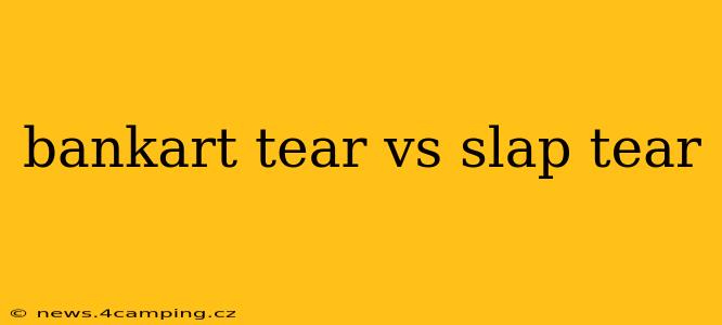 bankart tear vs slap tear