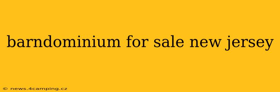barndominium for sale new jersey