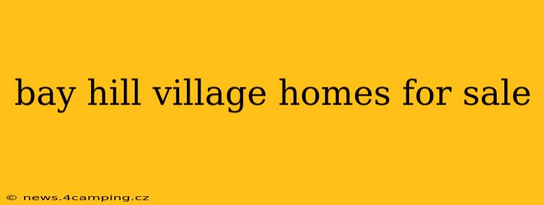 bay hill village homes for sale