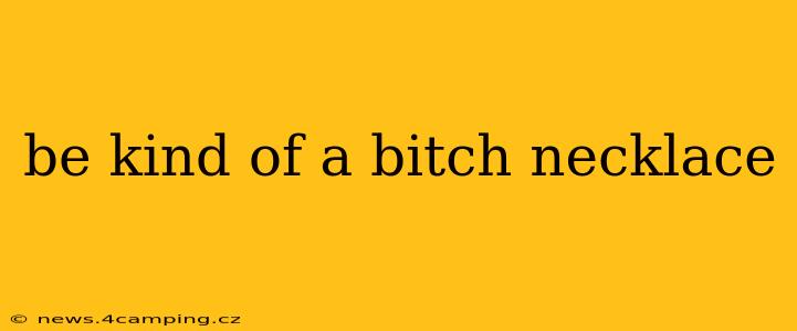 be kind of a bitch necklace