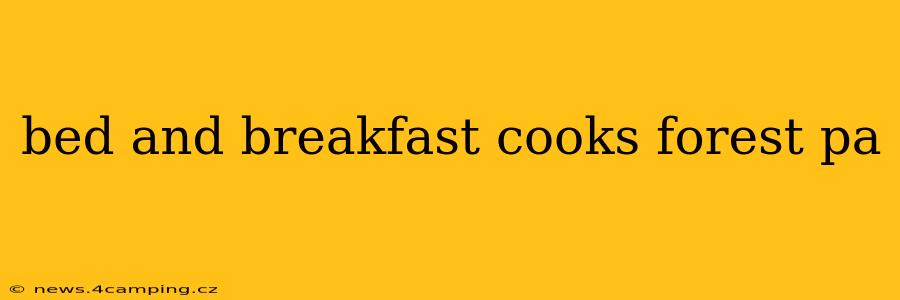 bed and breakfast cooks forest pa