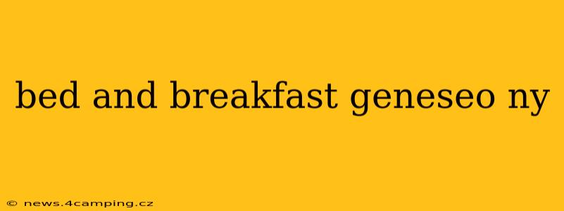 bed and breakfast geneseo ny