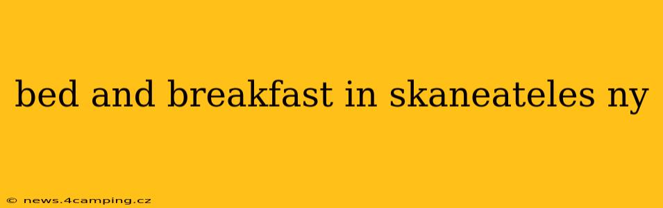 bed and breakfast in skaneateles ny