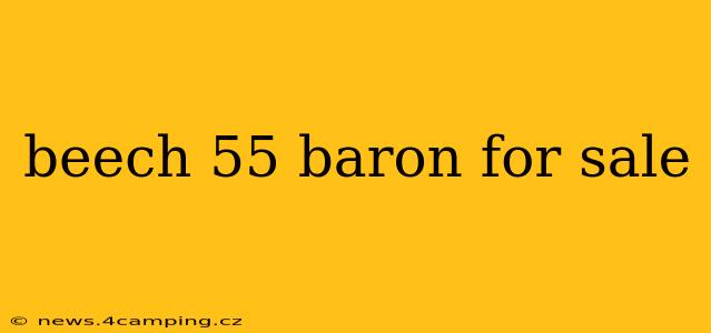beech 55 baron for sale