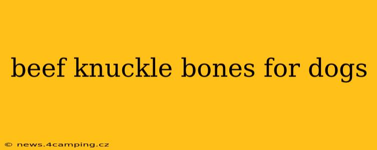 beef knuckle bones for dogs