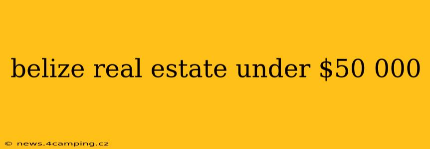 belize real estate under $50 000