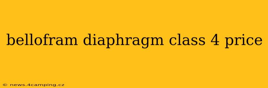 bellofram diaphragm class 4 price