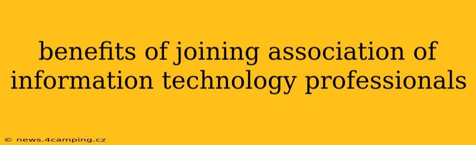 benefits of joining association of information technology professionals