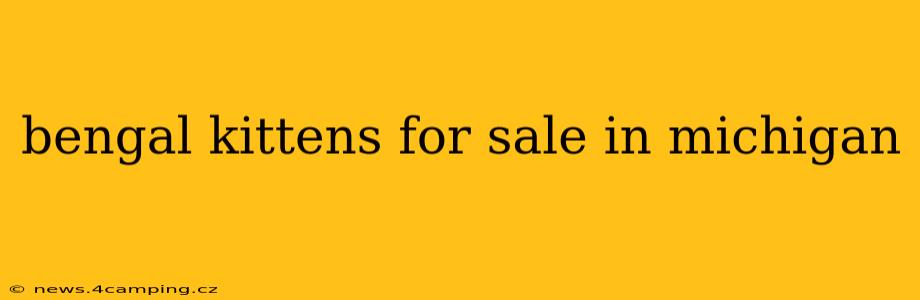 bengal kittens for sale in michigan
