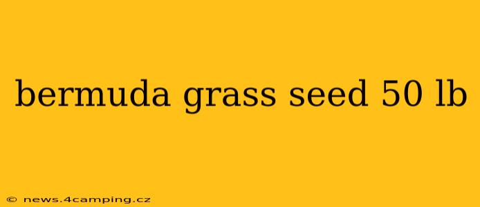 bermuda grass seed 50 lb