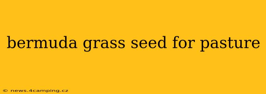 bermuda grass seed for pasture
