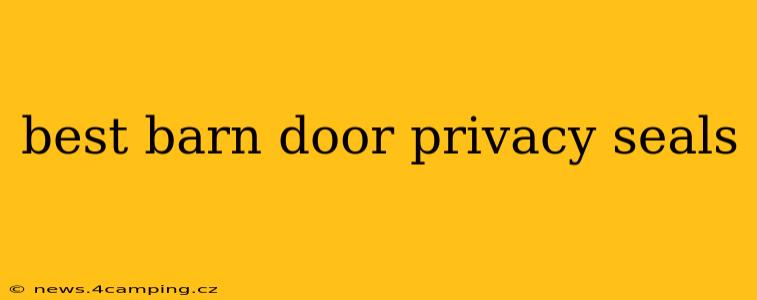 best barn door privacy seals