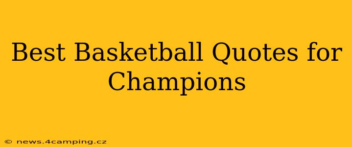 Best Basketball Quotes for Champions