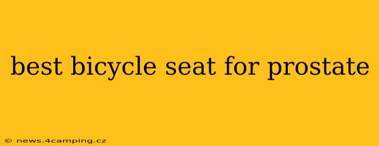 best bicycle seat for prostate