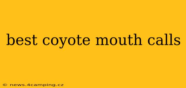 best coyote mouth calls