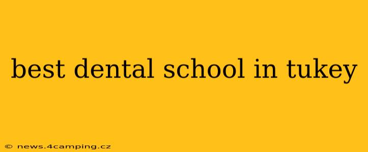 best dental school in tukey