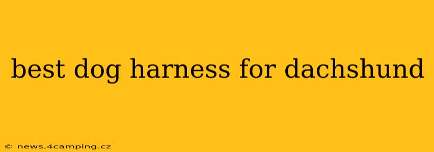 best dog harness for dachshund