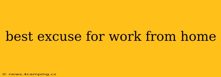 best excuse for work from home