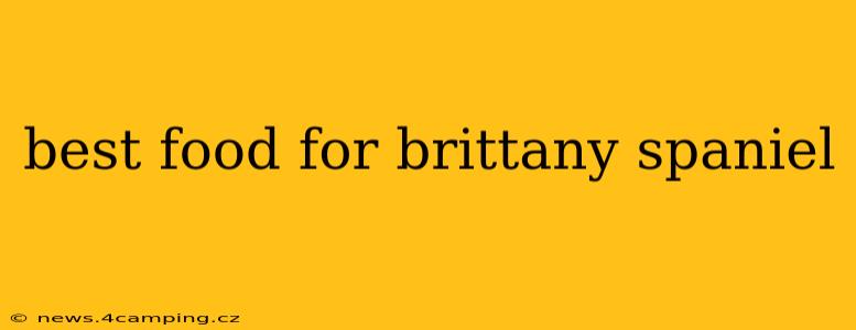 best food for brittany spaniel