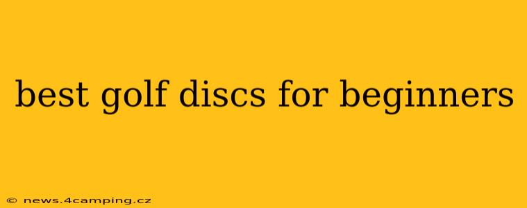 best golf discs for beginners