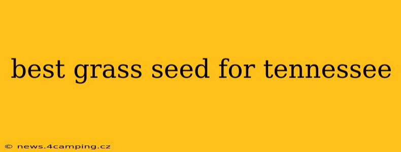 best grass seed for tennessee