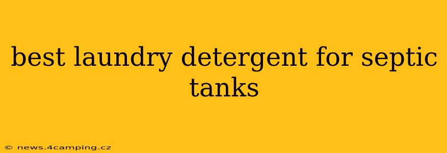 best laundry detergent for septic tanks
