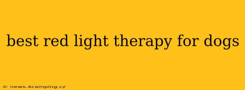 best red light therapy for dogs