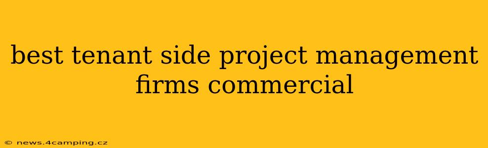 best tenant side project management firms commercial