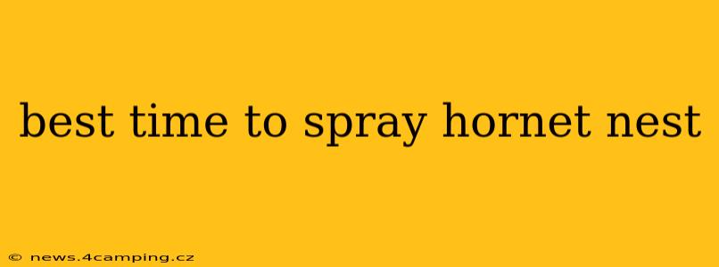 best time to spray hornet nest