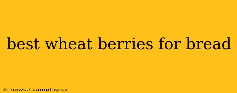 best wheat berries for bread