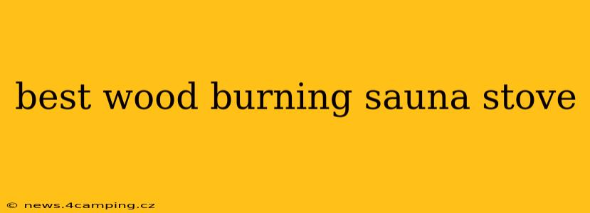 best wood burning sauna stove