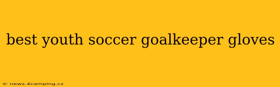 best youth soccer goalkeeper gloves