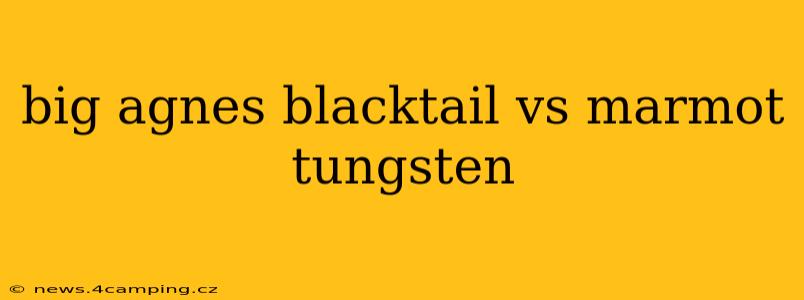 big agnes blacktail vs marmot tungsten