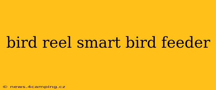 bird reel smart bird feeder