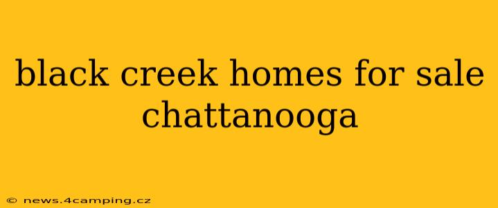 black creek homes for sale chattanooga