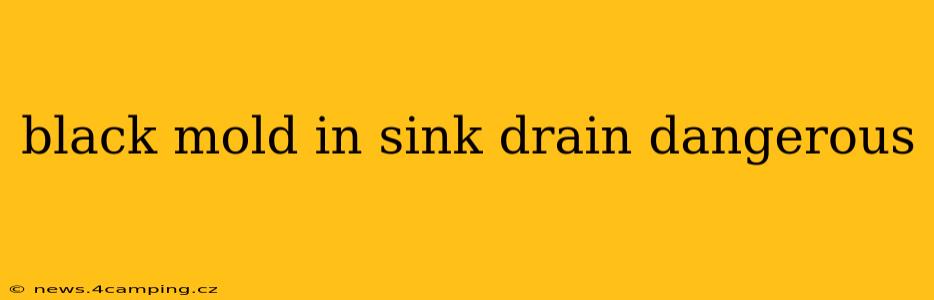 black mold in sink drain dangerous