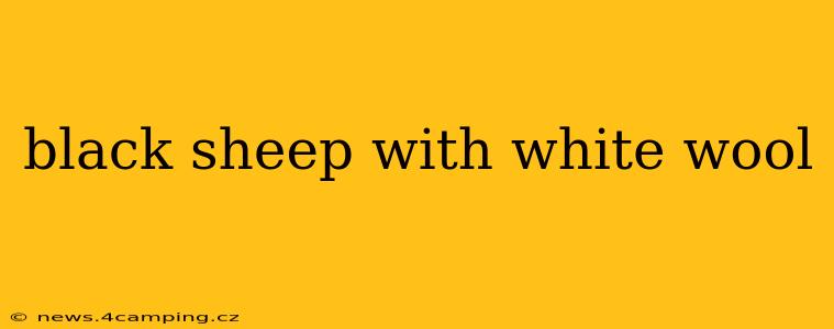 black sheep with white wool
