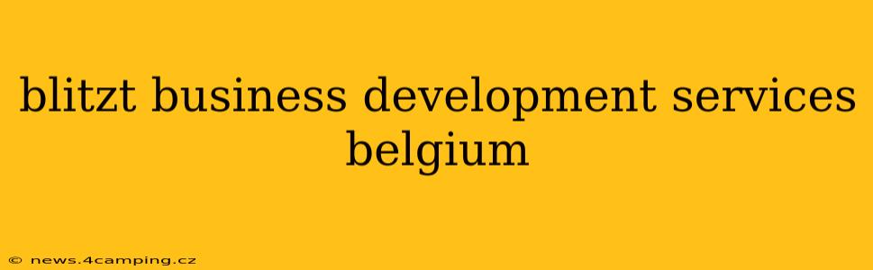 blitzt business development services belgium