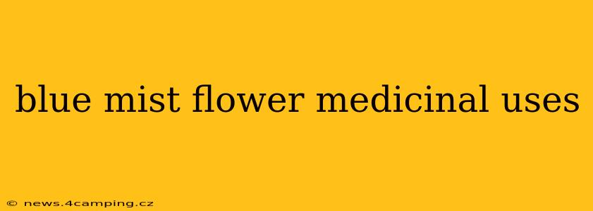 blue mist flower medicinal uses