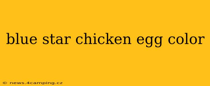 blue star chicken egg color